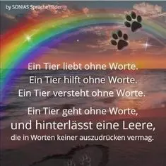 Andachtsbild von Paul mit Seelenhund " Spiky "