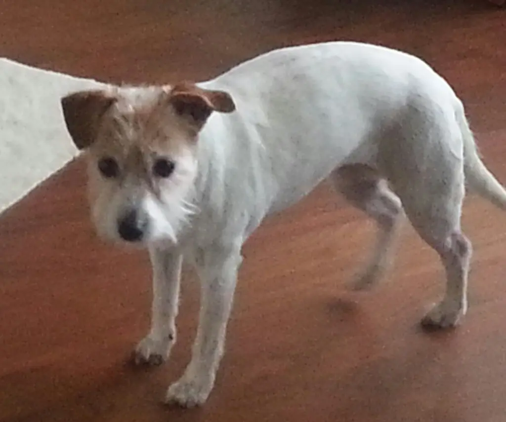 Condolence image of Monika 