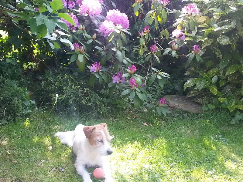 Condolence image of Monika 