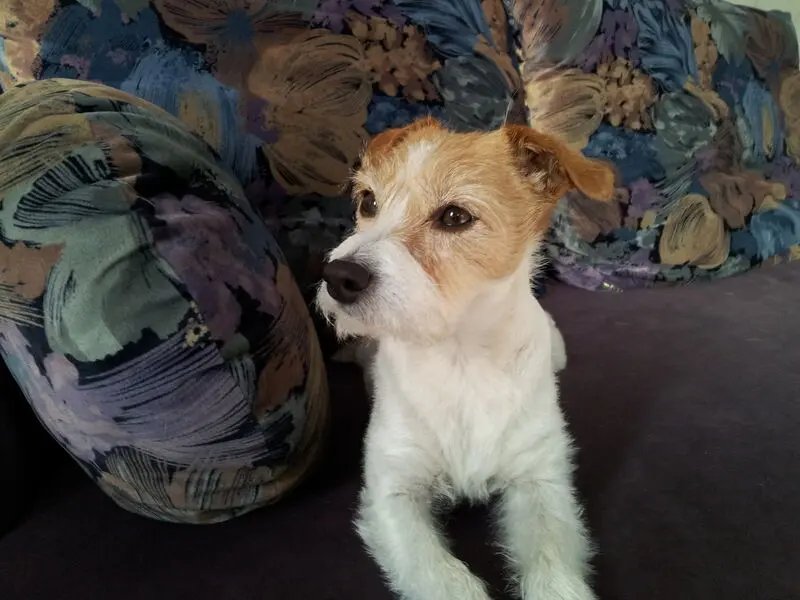 Condolence image of Monika 