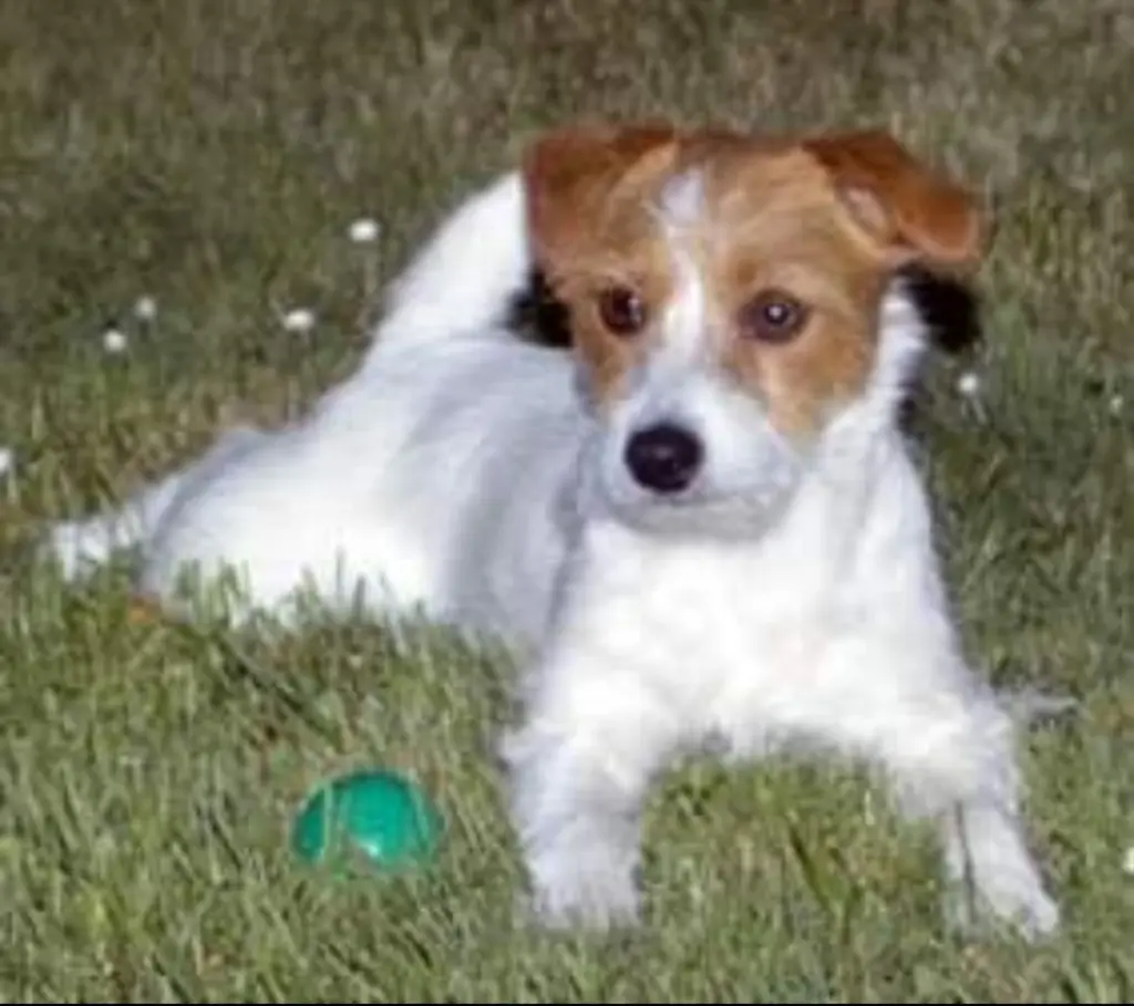 Condolence image of Monika