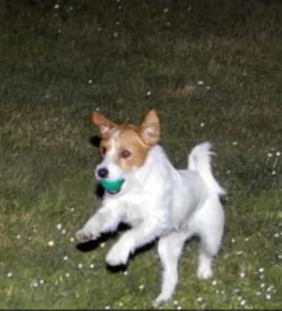 Condolence image of Monika 