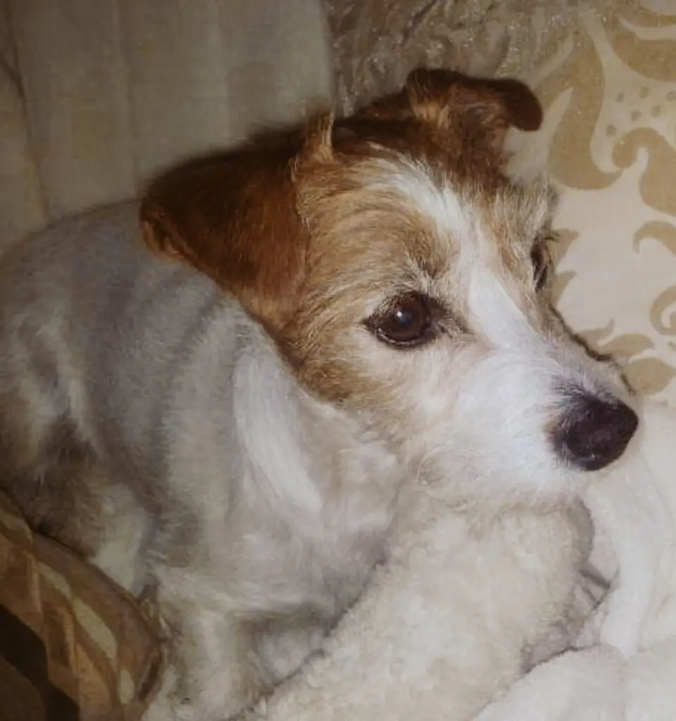 Condolence image of Monika