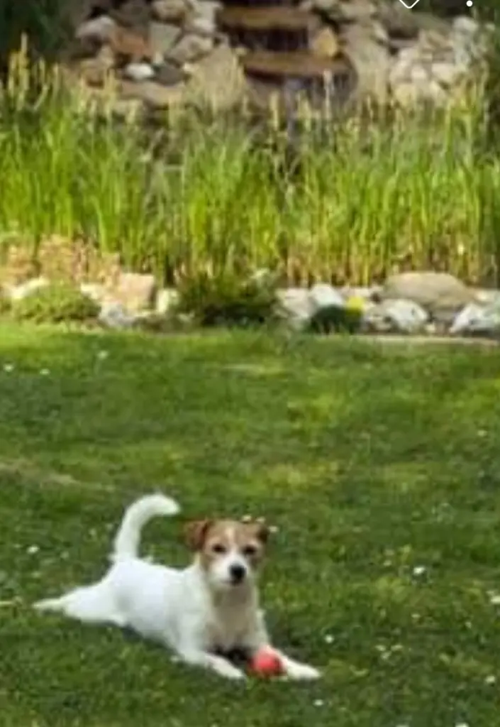 Condolence image of Monika 