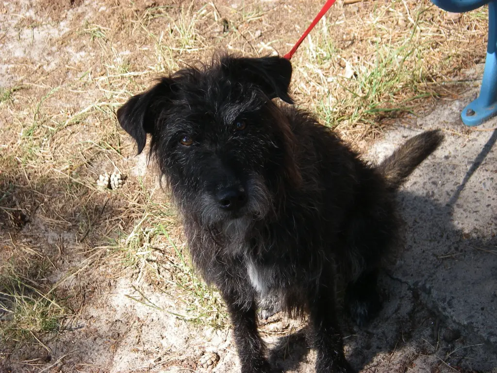 Condolence image of Yvonne mit Bodo