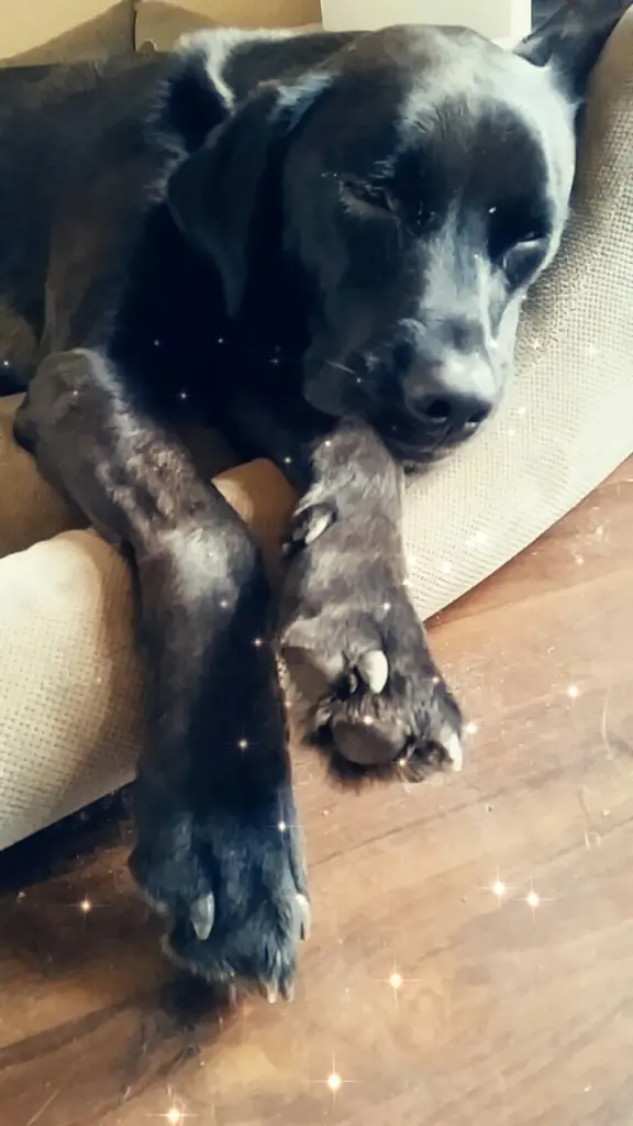 Condolence image of Larissa,Fabian und Nepi 