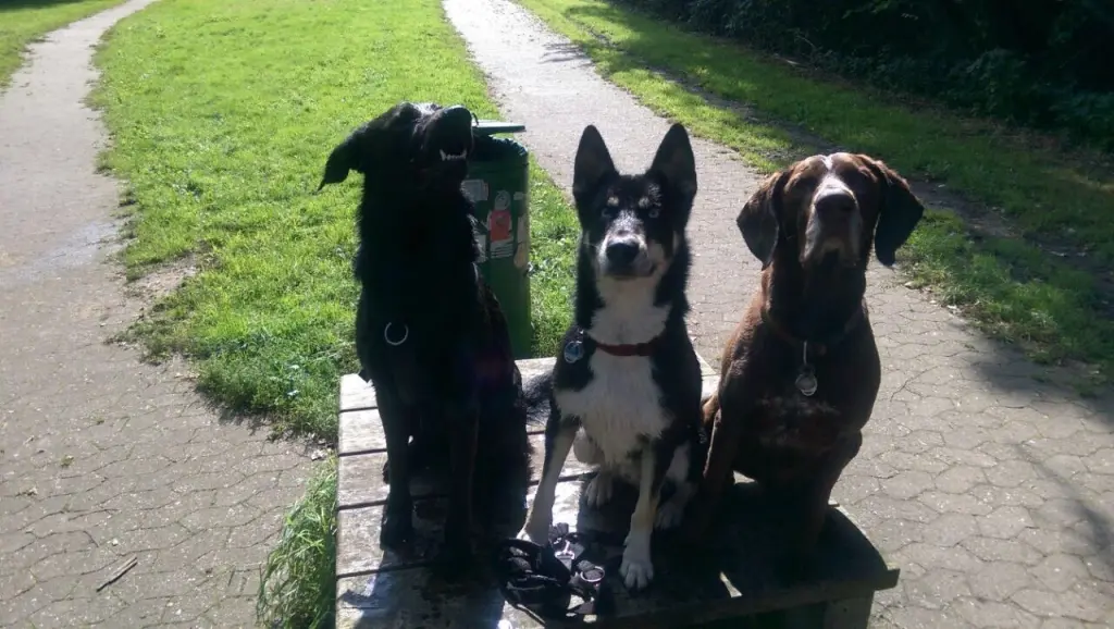 Condolence image of Dorota