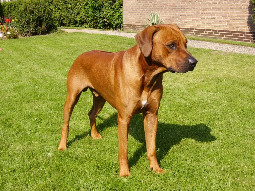 Condolence image of Britta