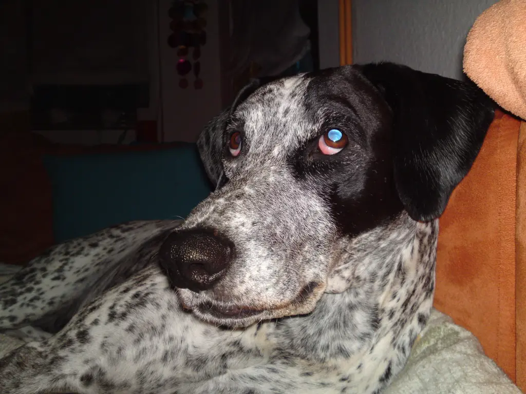 Condolence image of Unbekannt