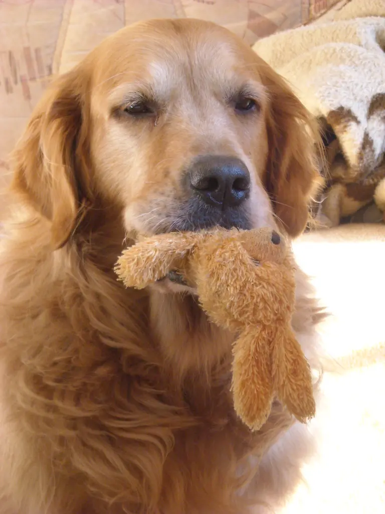 Condolence image of Unbekannt