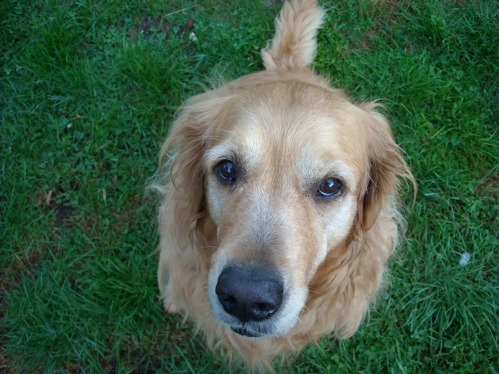 Condolence image of Michael