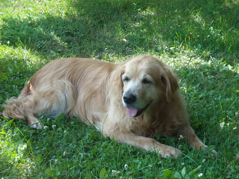 Condolence image of Christiane & Michael