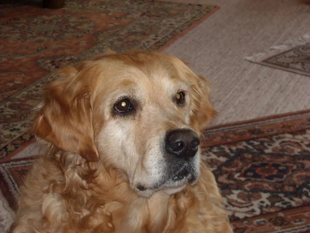 Condolence image of Michael