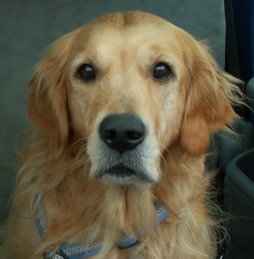 Condolence image of Christiane & Michael