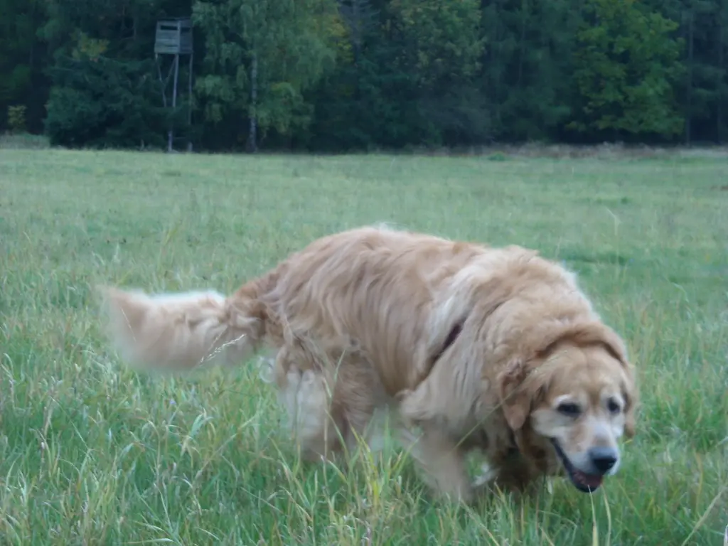 Condolence image of Christiane & Michael