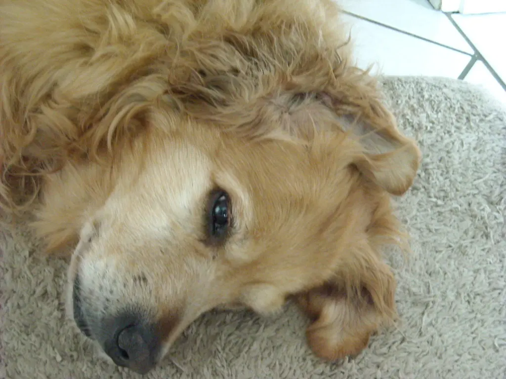 Condolence image of Unbekannt