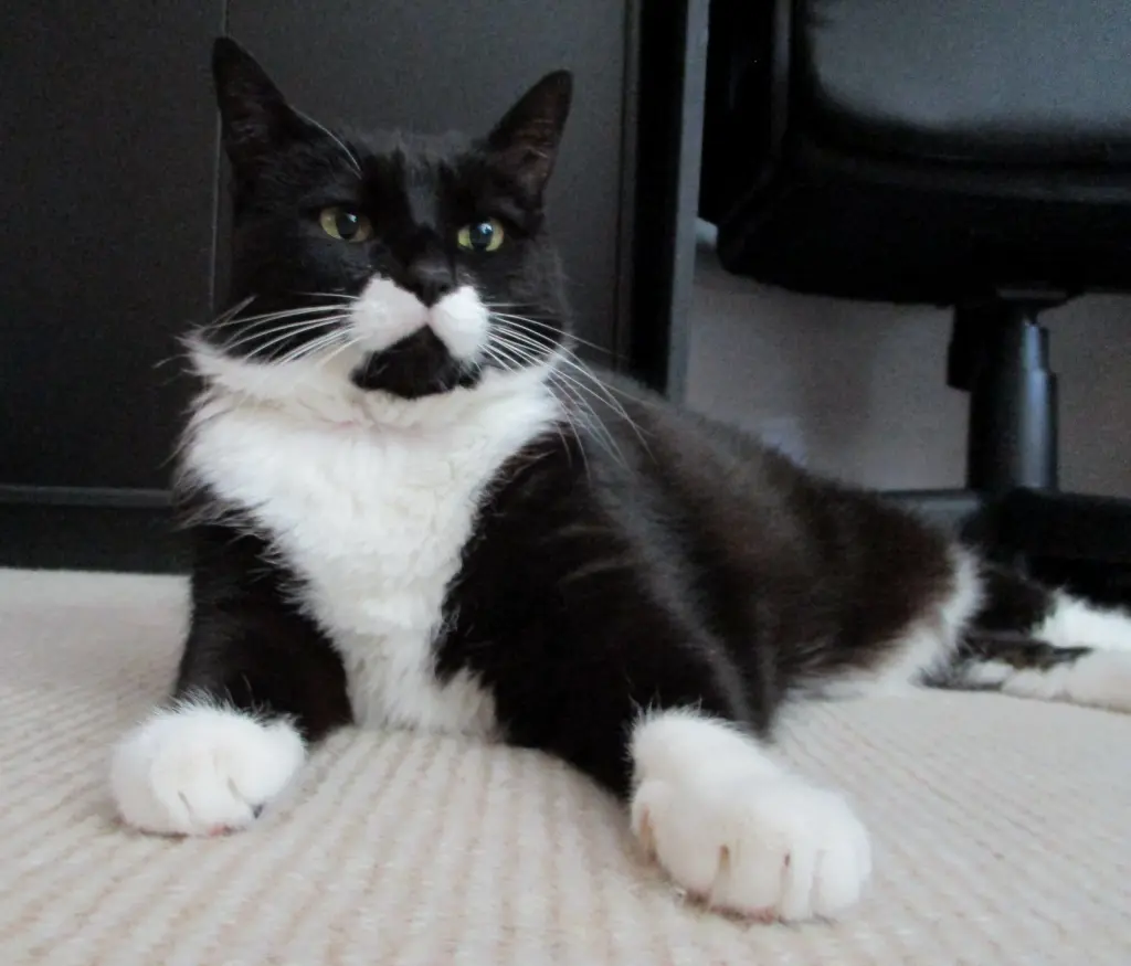 Andachtsbild von Mutti