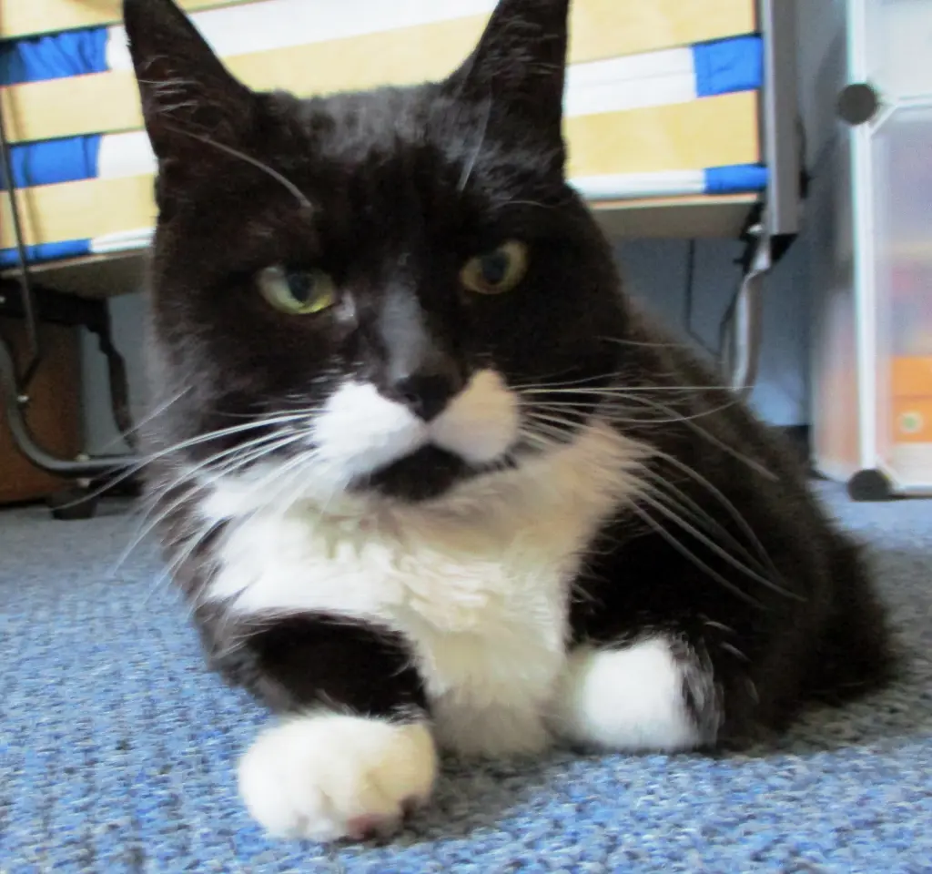 Andachtsbild von Mutti