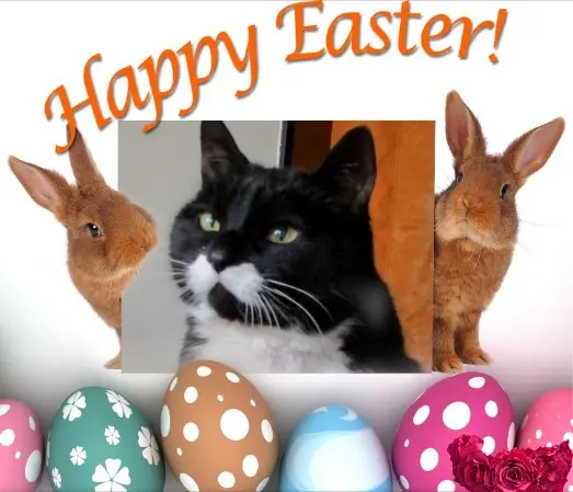 Andachtsbild von Mutti