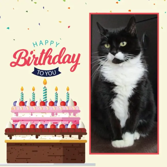 Andachtsbild von Mutti