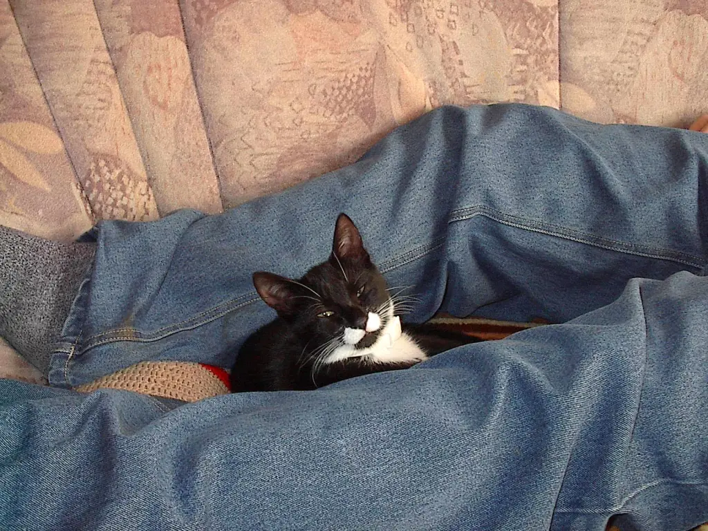 Andachtsbild von Mutti