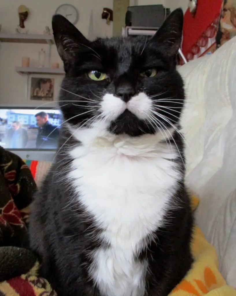 Andachtsbild von Mutti