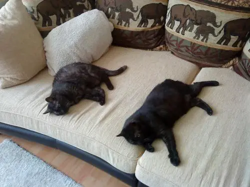 Image from Tigerlilly & Tiger