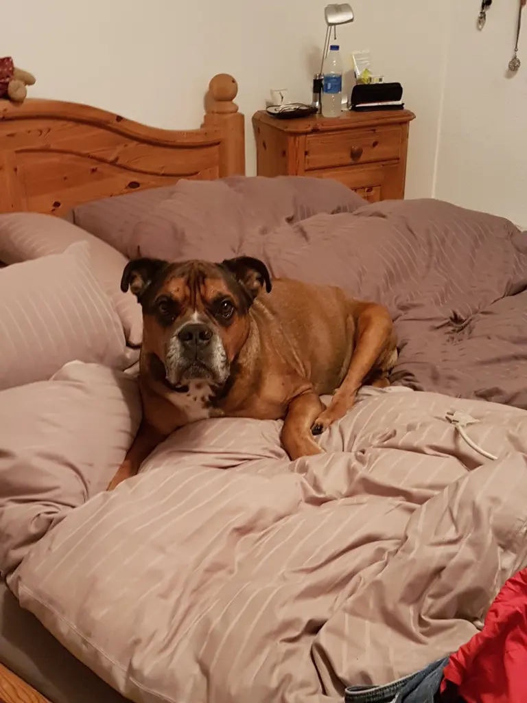 Condolence image of Alexandra und Linus 