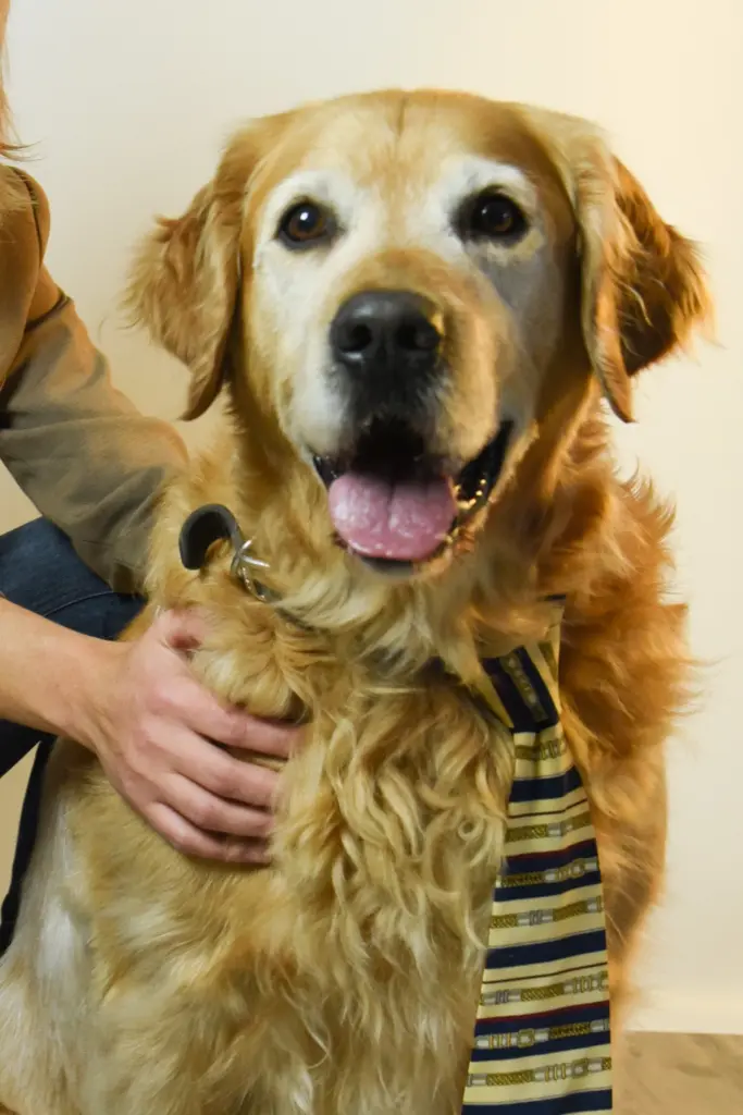 Condolence image of Micha mit Cäsar im Herzen