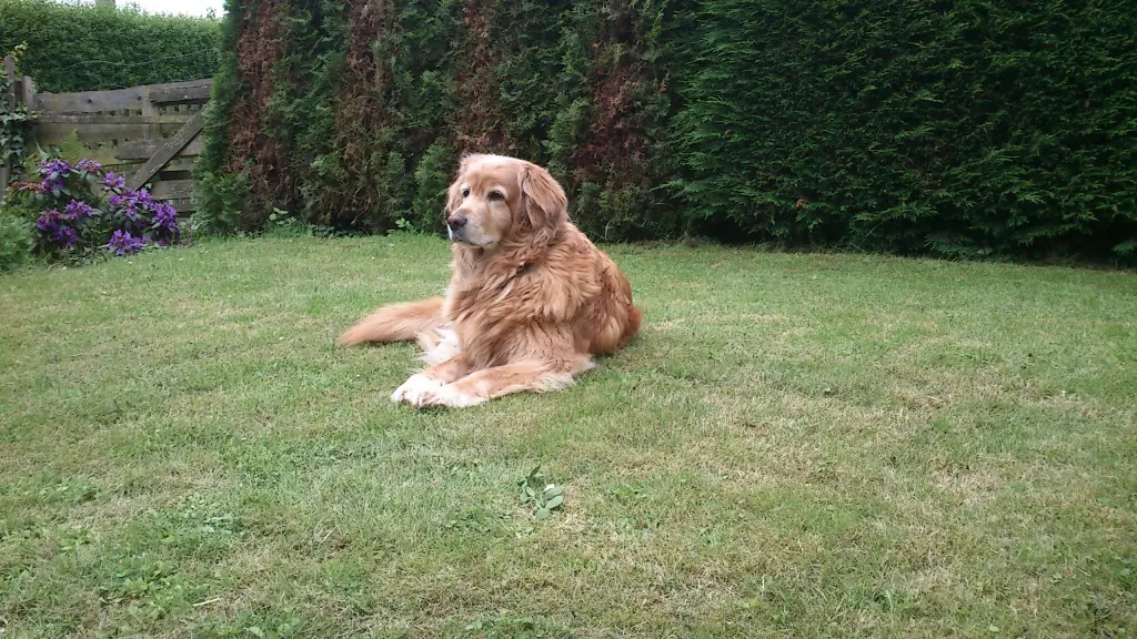 Condolence image of Michael mit ALESCA Janicki