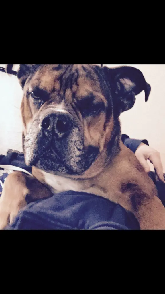 Condolence image of Alexandra und Linus 