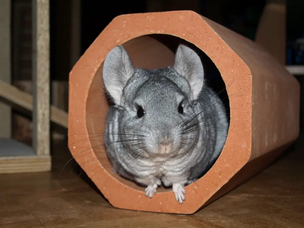 Condolence image of Stefanie