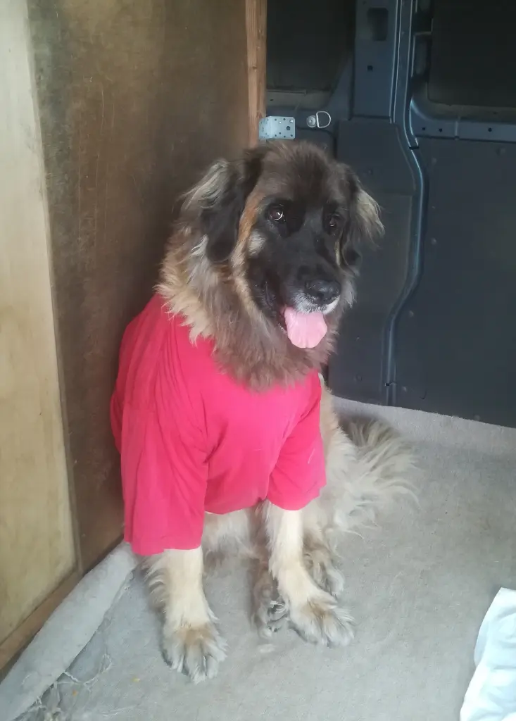 Image from Hera Princess