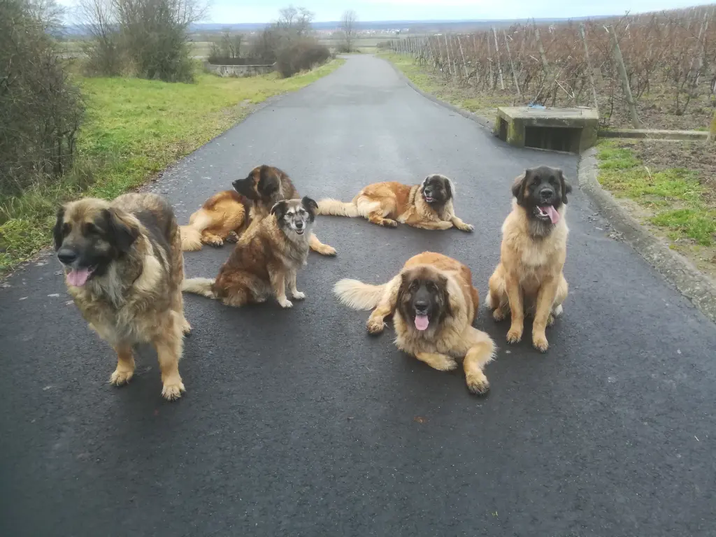 Image from Hera Princess