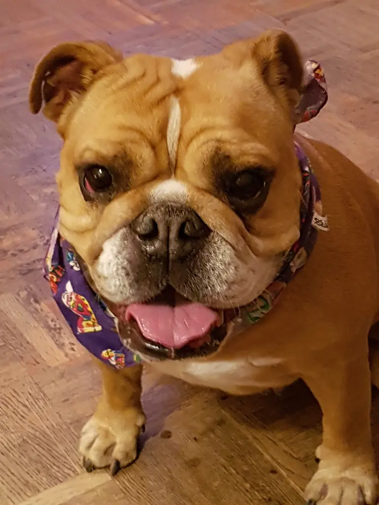 Condolence image of Sabine mit Anni