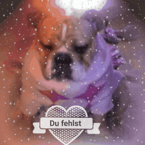 1 Jahr ist nun vergangen. Ich liebe dich, und trag dich im Herzen