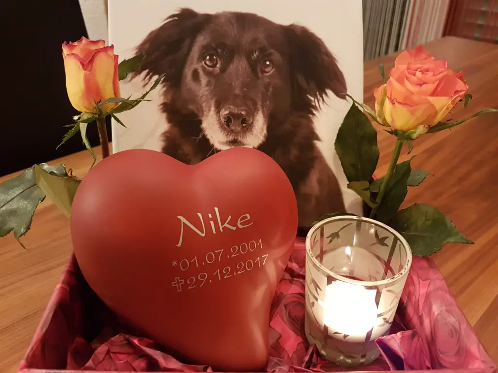 Condolence image of Birgit 