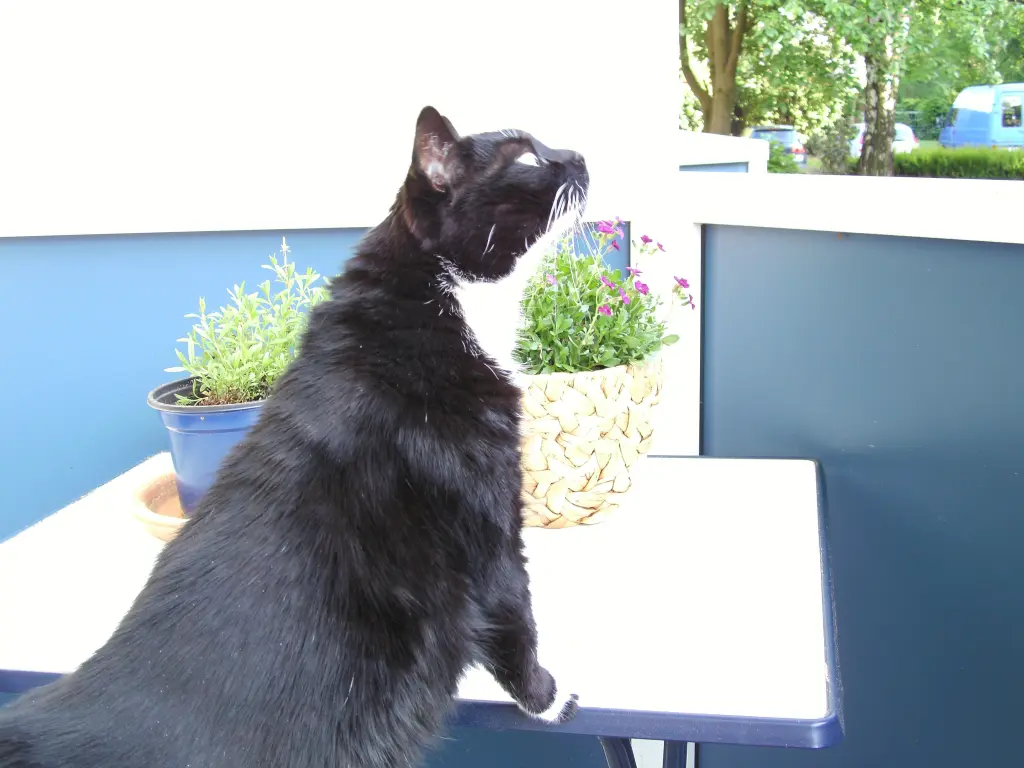 Condolence image of Jeanne - Marie