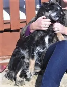 Condolence image of Julia