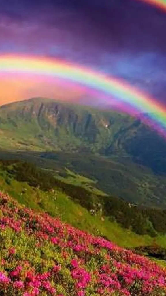 Condolence image of Melanie 