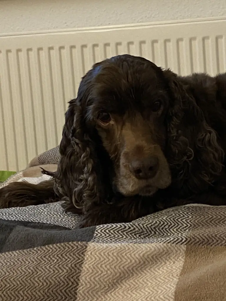 Condolence image of Kerstin mit Linus im ❤️