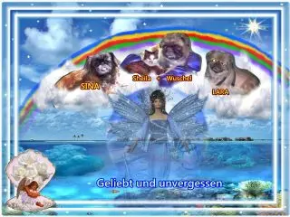 Image from meine zwei lieben wuschel-bärli und sheila