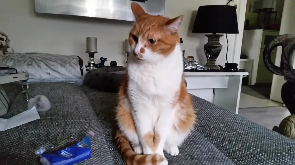 Condolence image of Birgit  