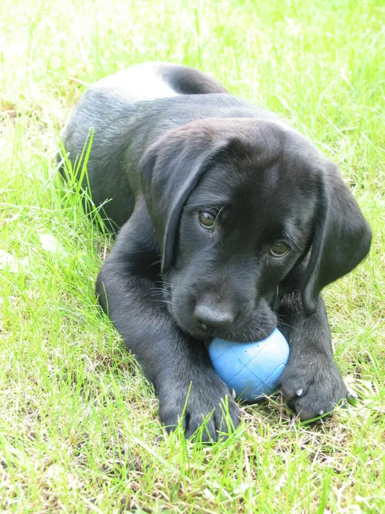Condolence image of Heidi und Henry