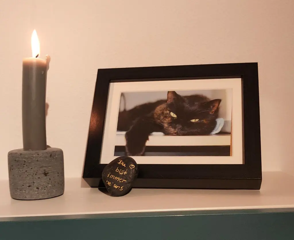 Condolence image of Michael