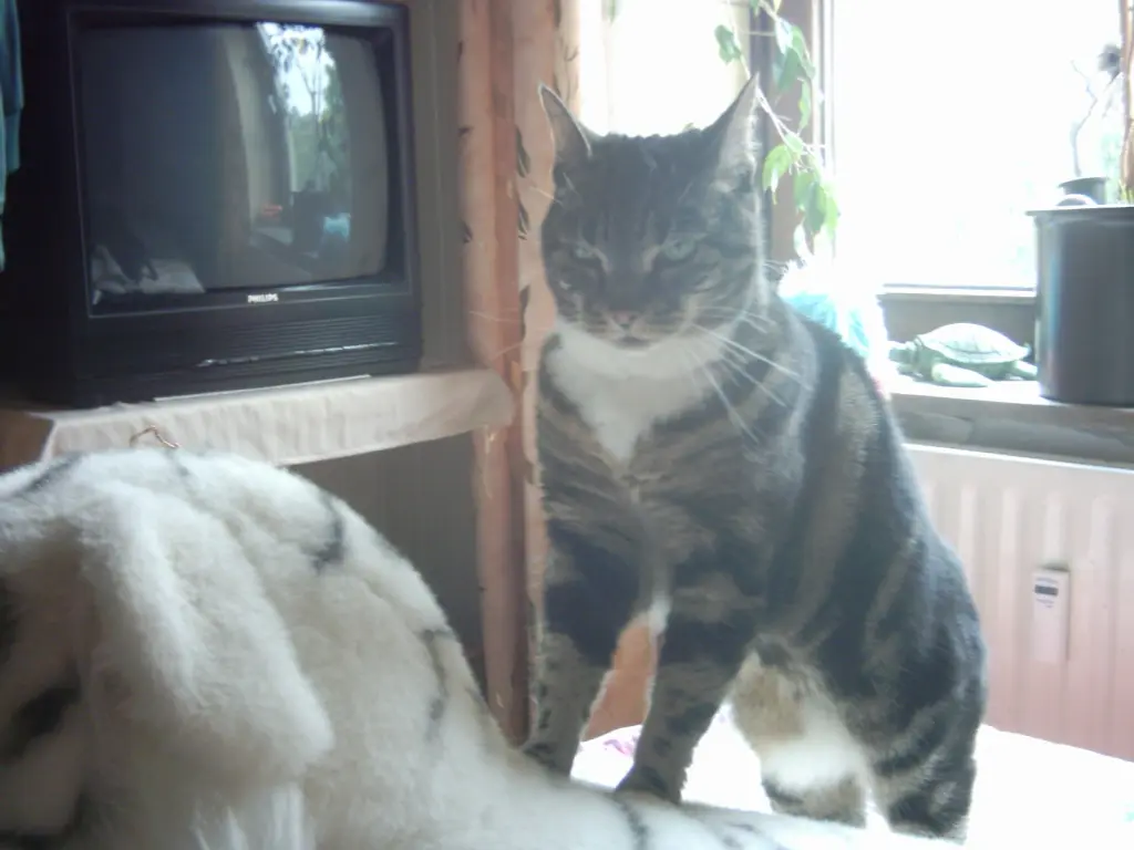 Condolence image of Julia