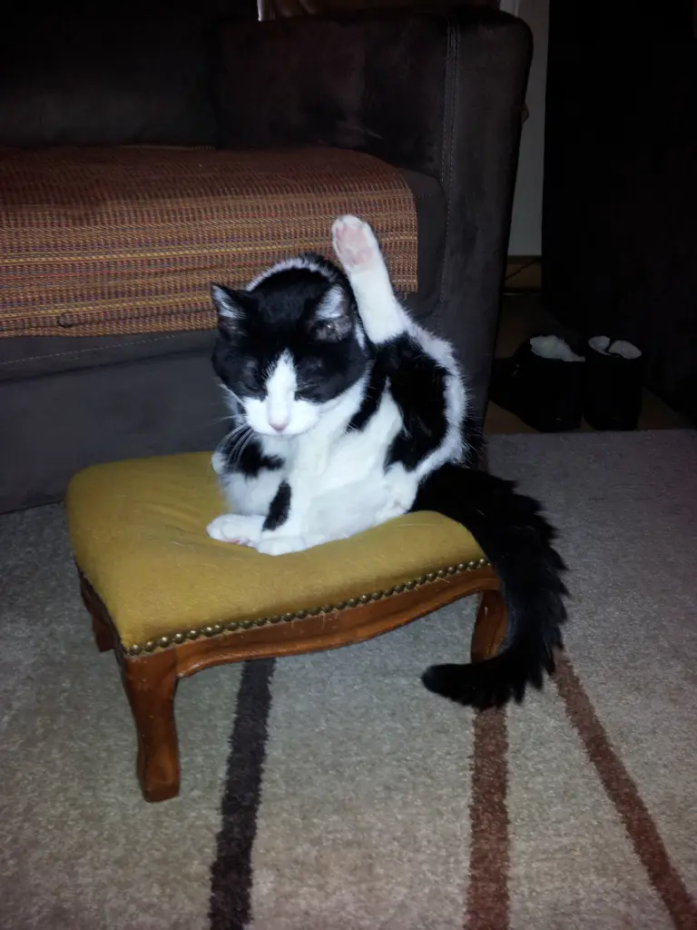 Andachtsbild von Ilse mit Fee und Minna im Herzen