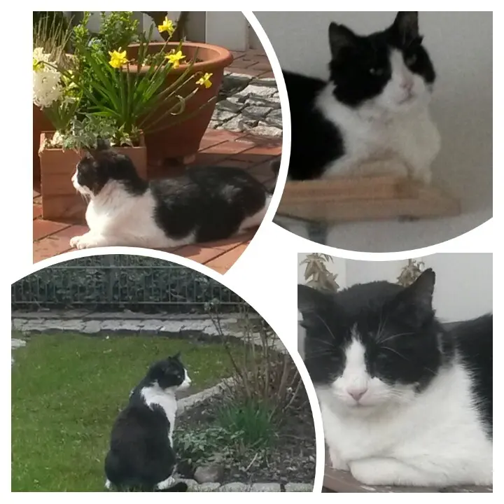 Condolence image of Monika und Ulrike mit CARLO 