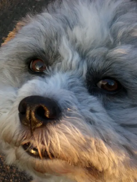 Condolence image of gabriele