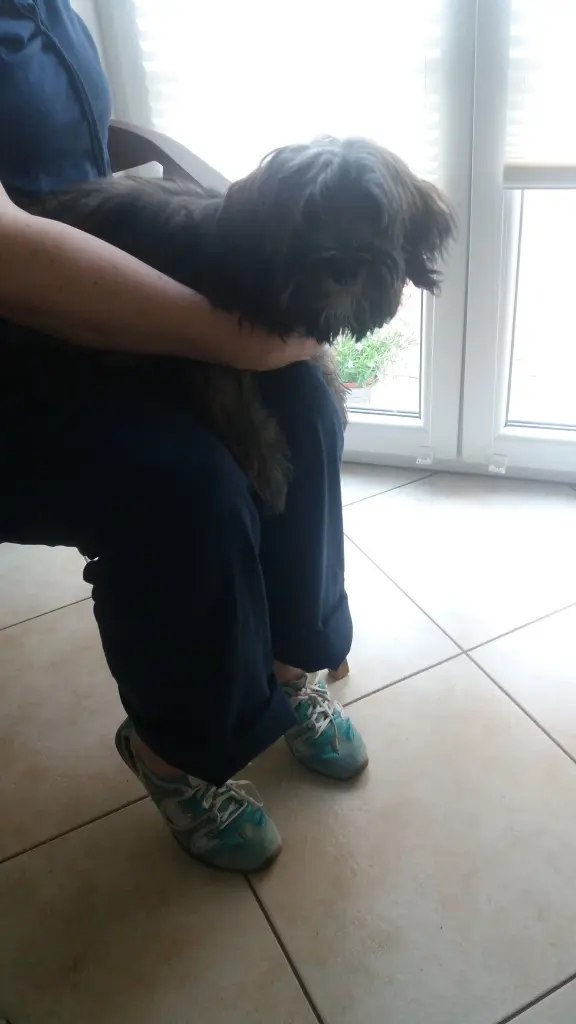 Condolence image of Monika mit Carlo im Herzen und Brady an der Leine 